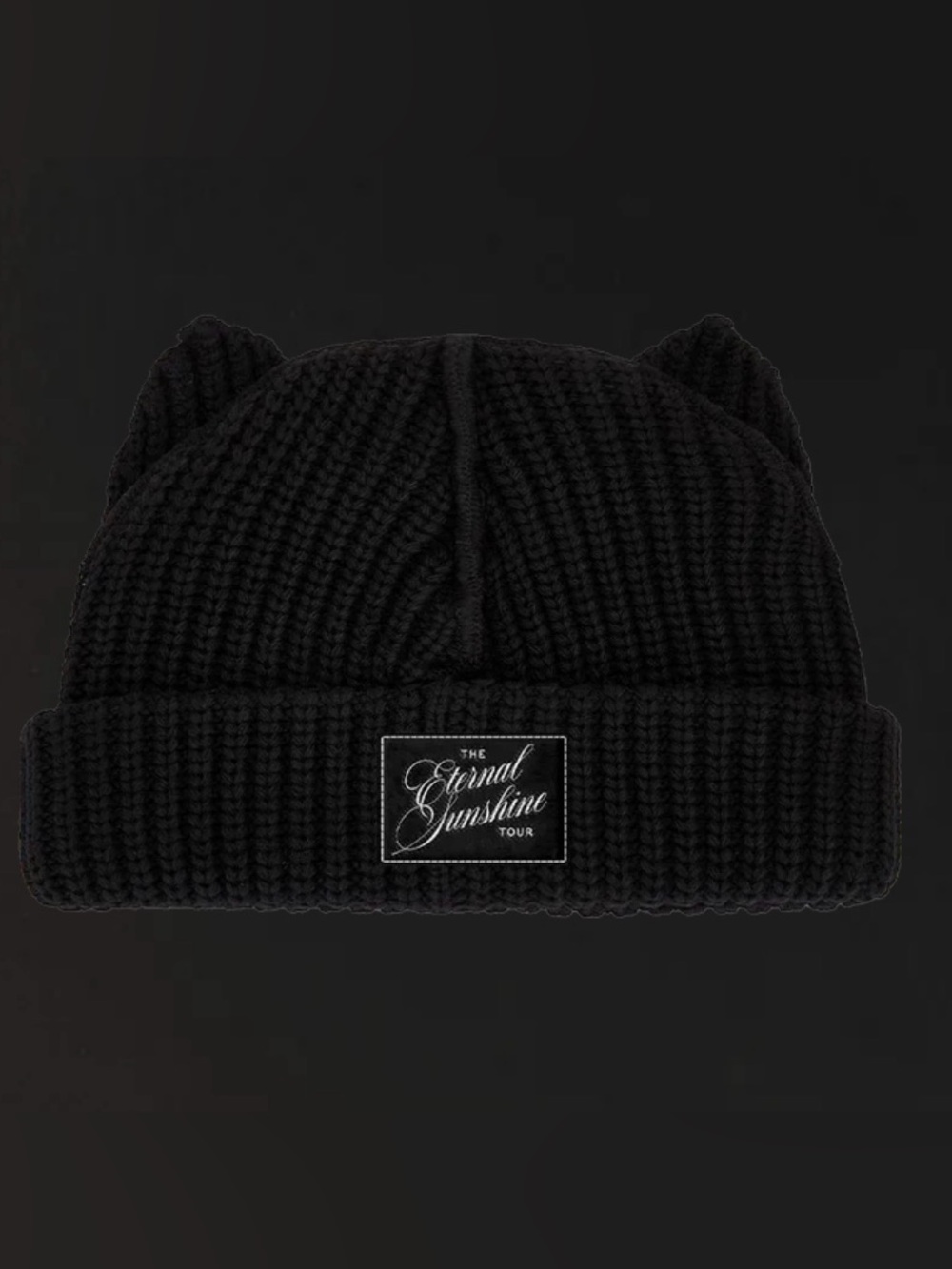 ARIANA GRANDE THE BOY IS MINE CAT BEANIE